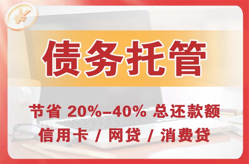 金川开发区债务托管